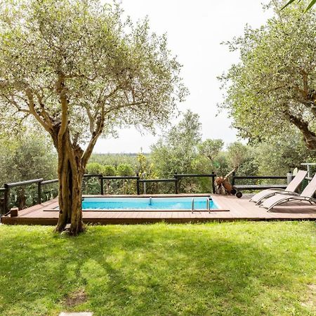 Villa Villacolle Massarosa Extérieur photo