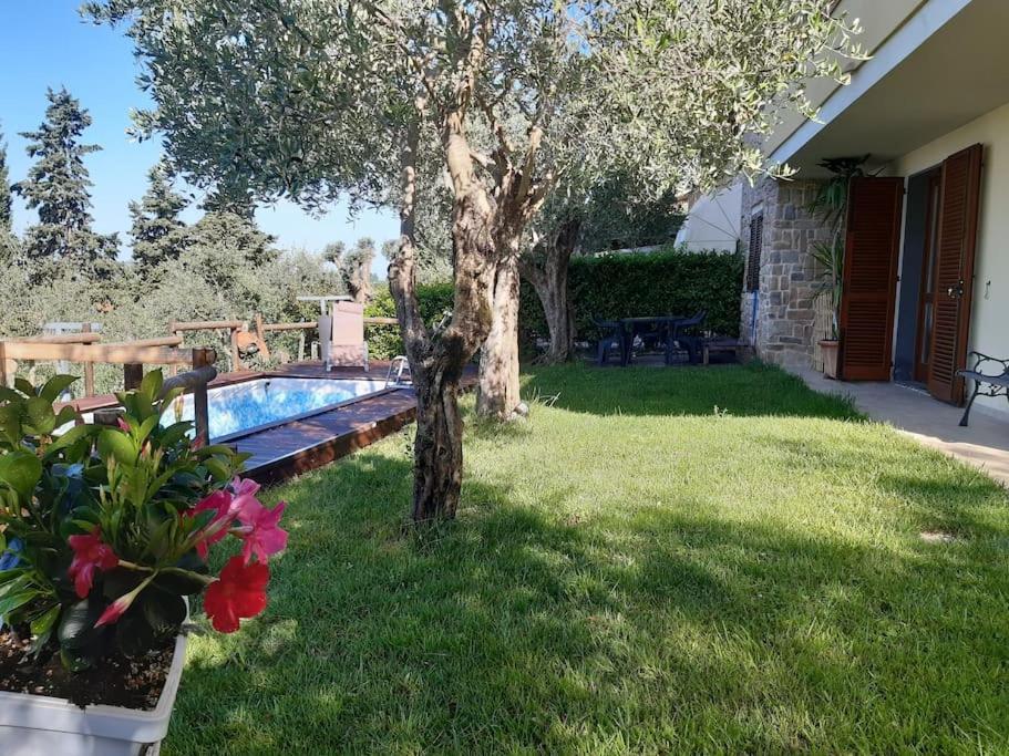 Villa Villacolle Massarosa Extérieur photo