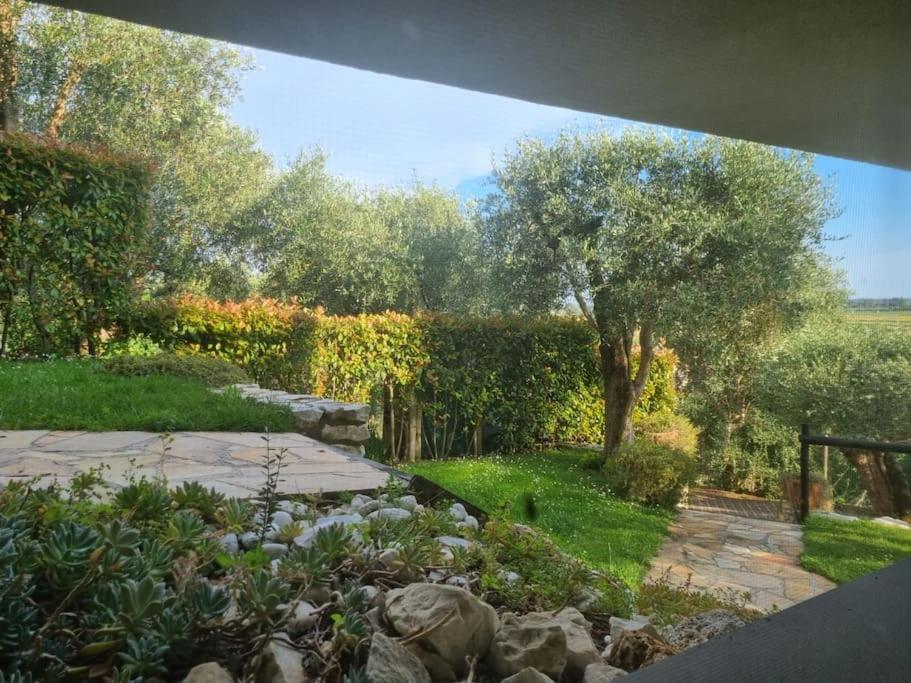 Villa Villacolle Massarosa Extérieur photo